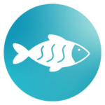 fishing tours with Jus 1 Danz